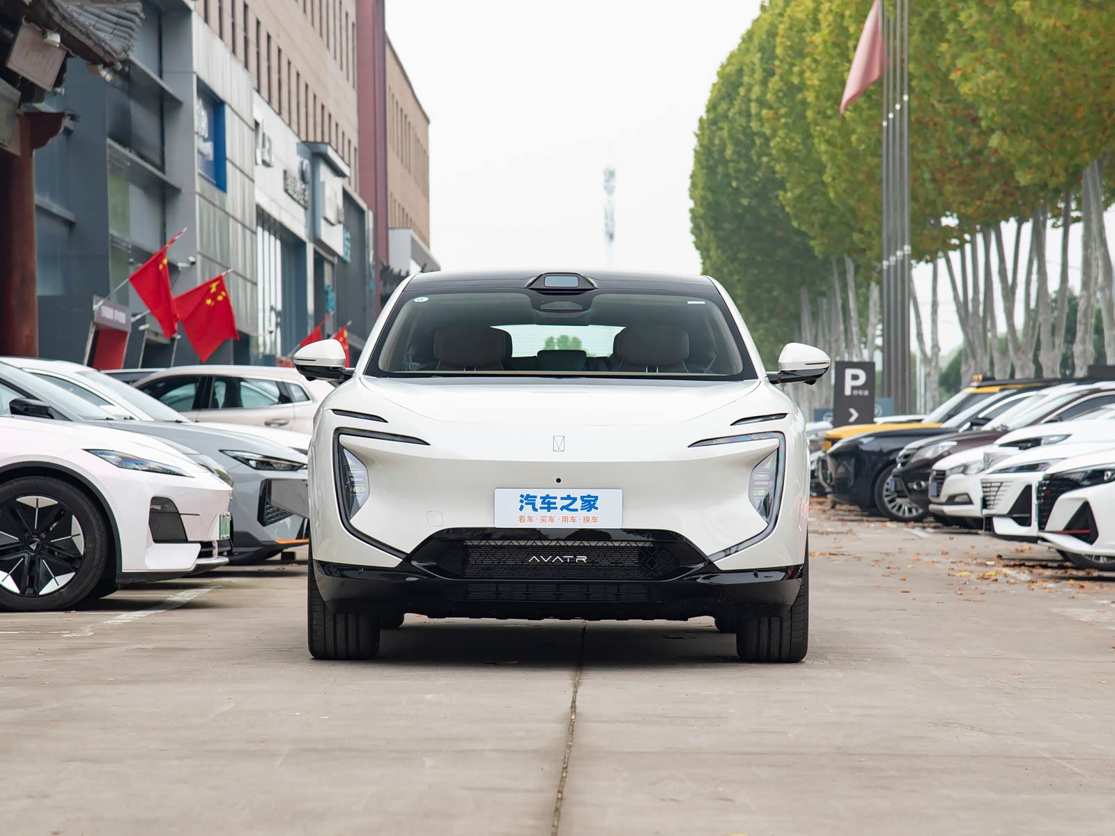 2026-elite-reev-rwd-02.jpg