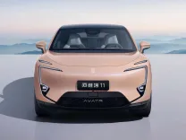 cattouchret (57).webp