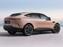 cattouchret (58).webp