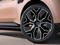 cattouchret (62).webp